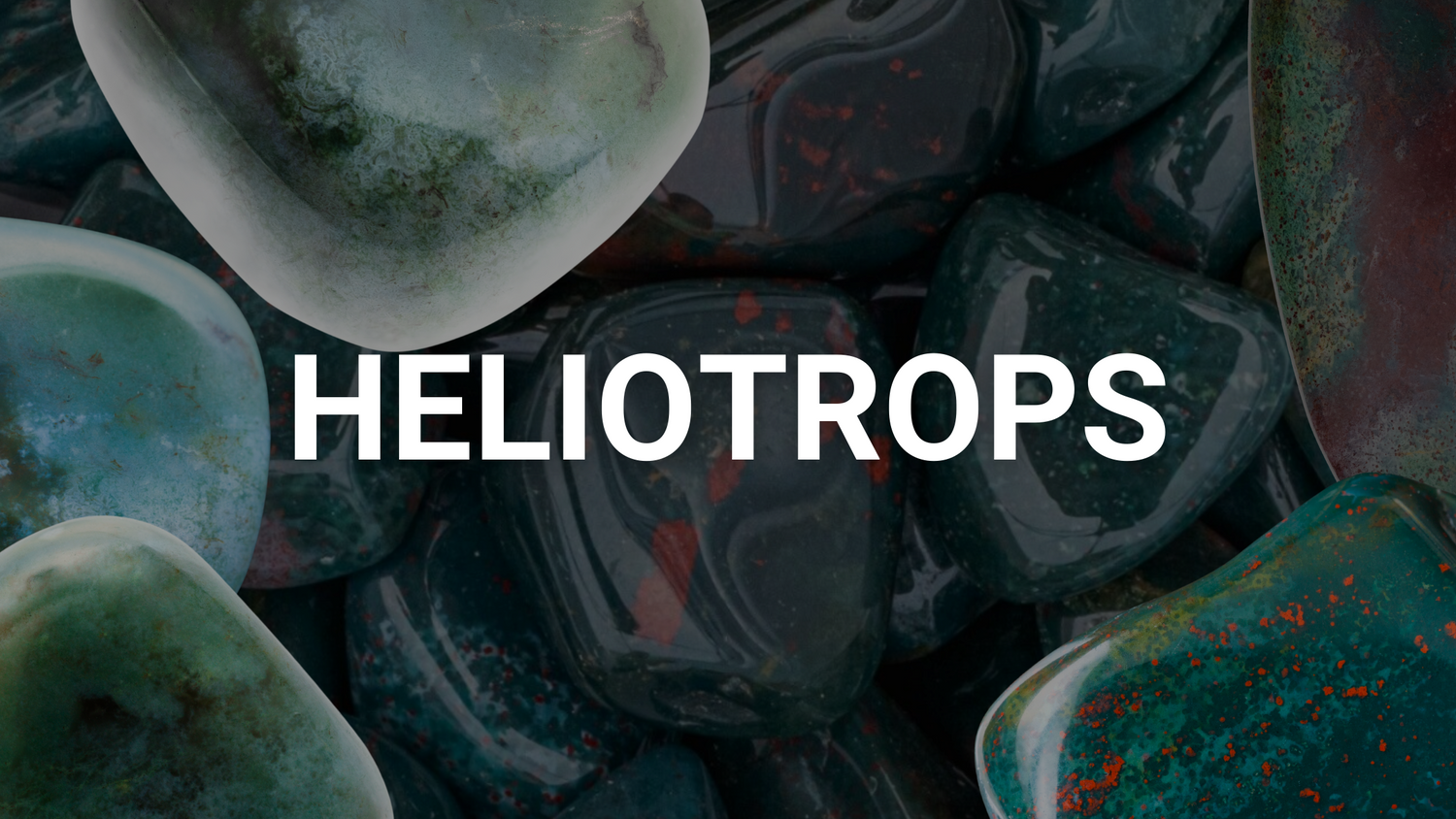 Heliotrops