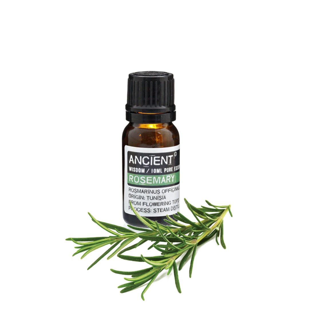 "Ancient" - Rosemary Essential Oil
